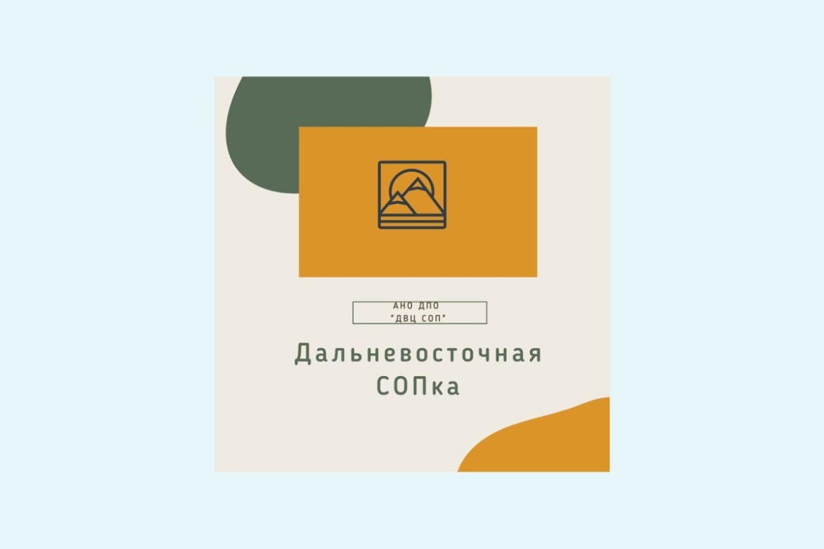 Специалисты Всероссийского детского центра расскажут об онлайн-смене «#MoreОкеана» на вебинаре