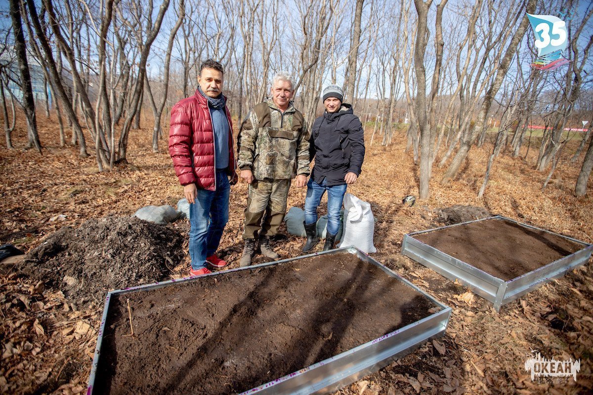 В «Океане» будут культивировать женьшень